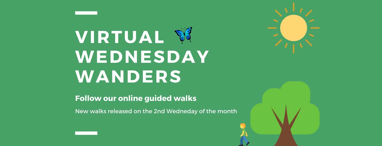 Virtual  Wanders