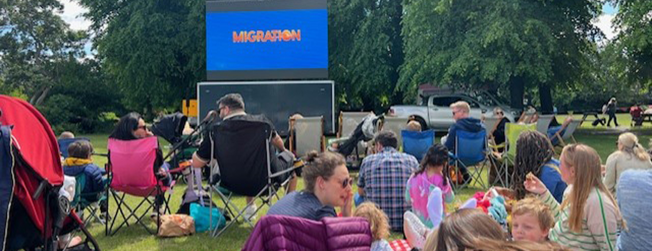 Royalty outdoor cinema Competition