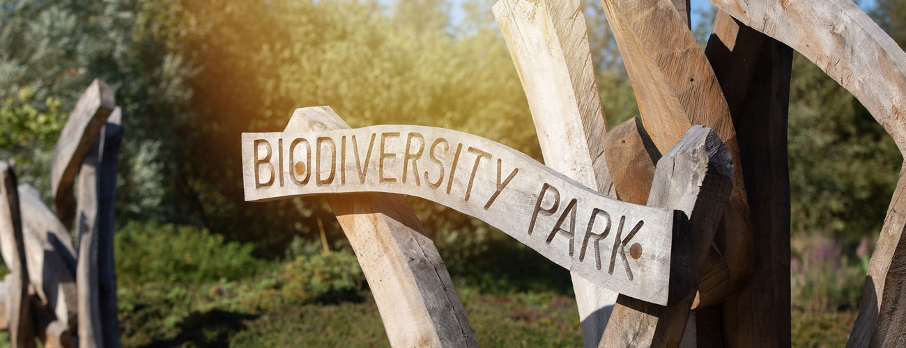 Biodiversity Litter Pick