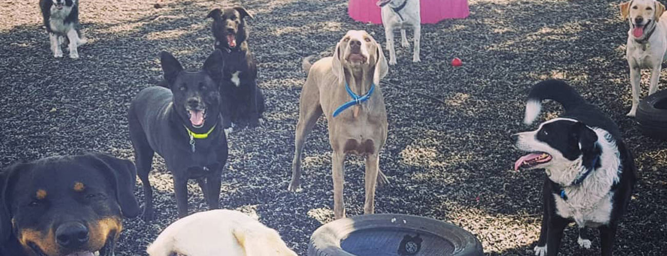 10% off full day daycare